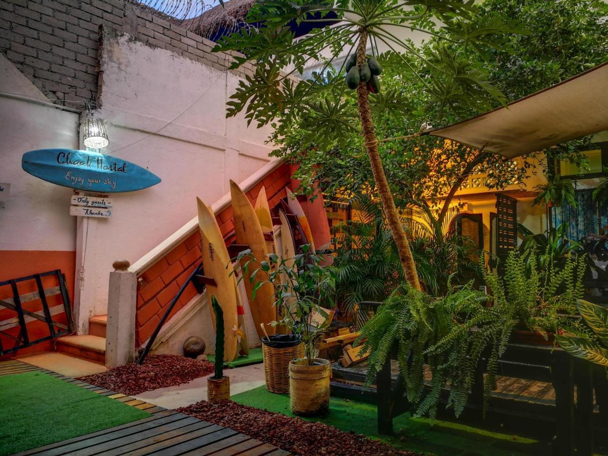 Chaak Hostel Puerto Escondido  Exterior photo